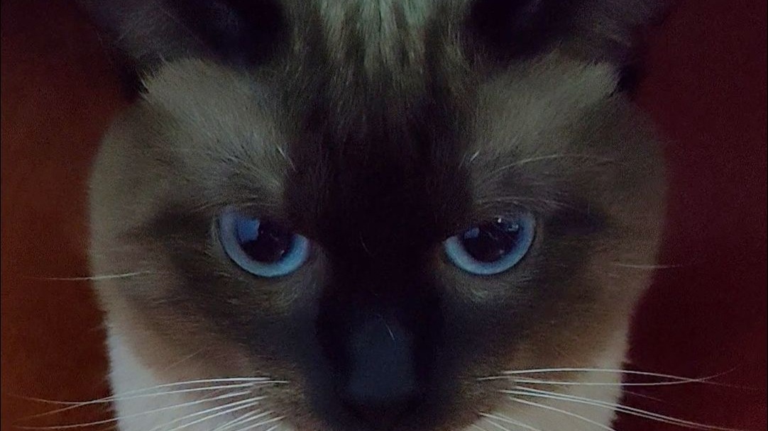 暹罗区最高的山，最圆的头