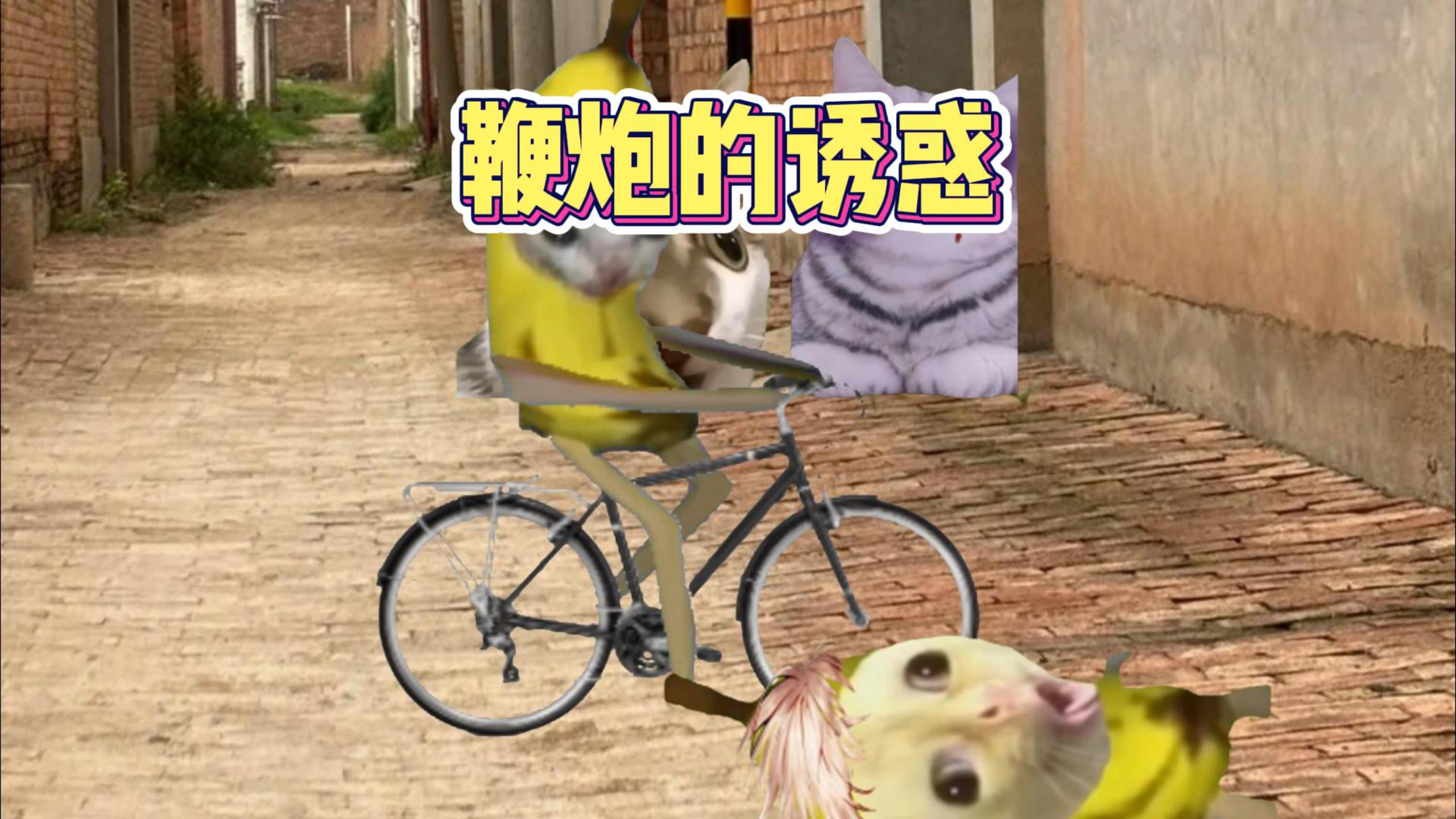 鞭炮的诱惑