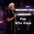 【粉妈超燃经典】P!nk - Who Knew 2012