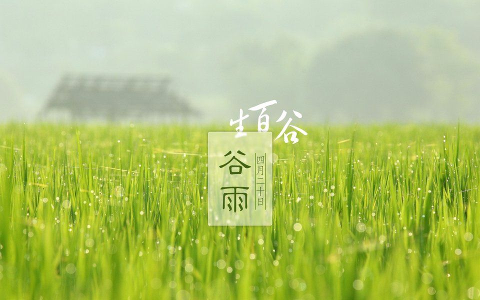 【古风悠悠,一听倾心】【轻音乐】@《谷雨》_哔哩哔哩