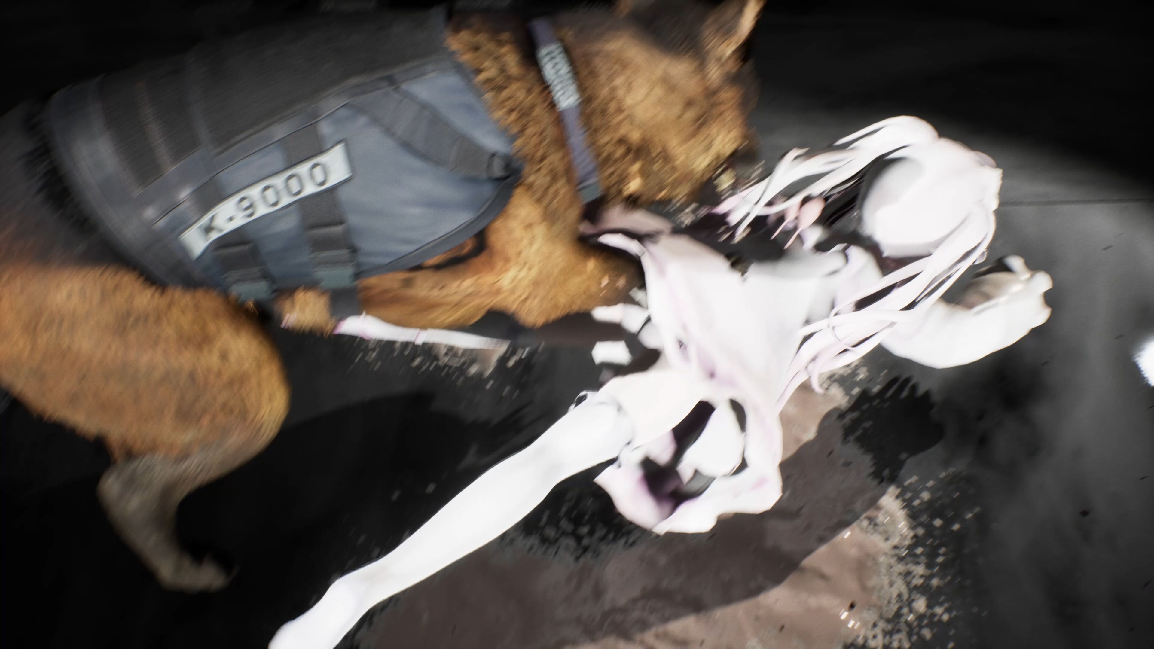 karin酱被大狗嚼嚼嚼R