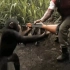 猴子：老子教你AK47压枪！！