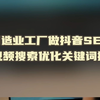 制造业工厂做抖音SEO短视频搜索优化关键词排名-排名运营
