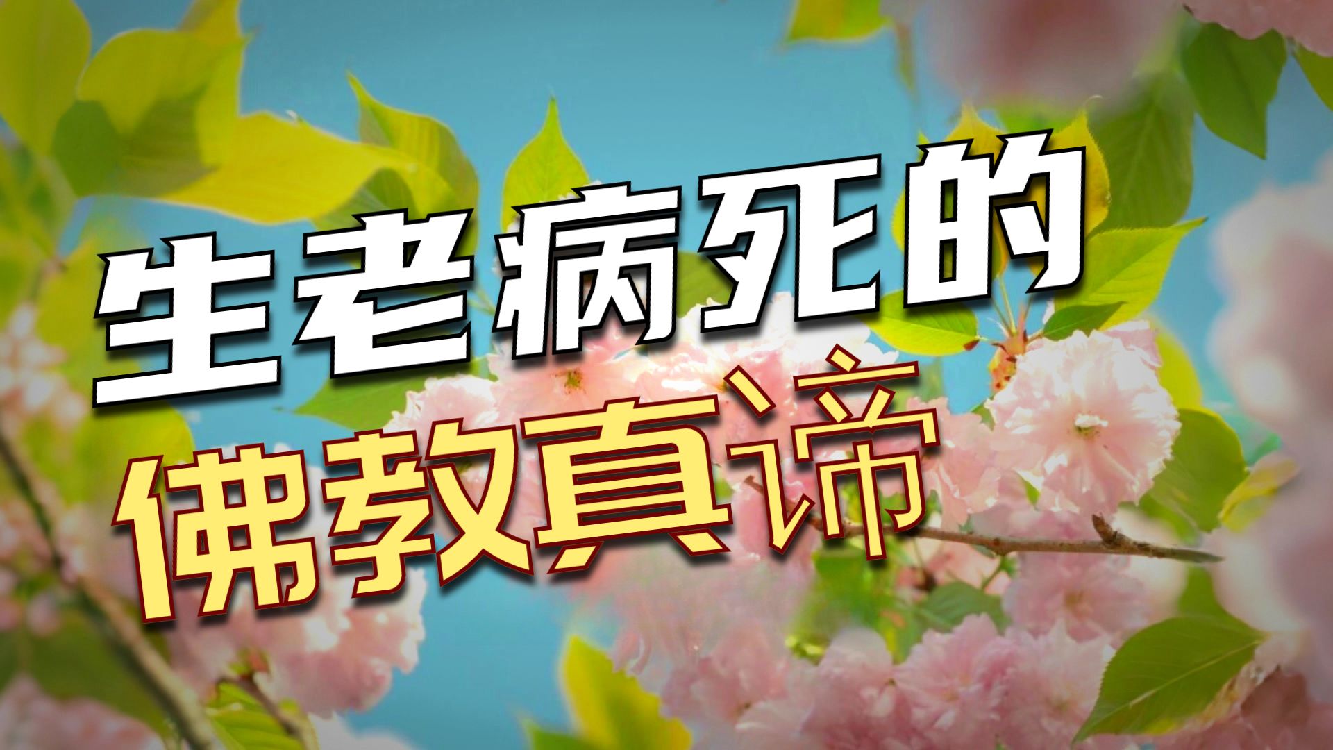 体佛法师开示：常坦坦也闲闲