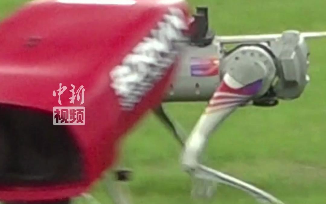 机械狗变身杭州亚运会铁饼“搬运工”，腿快得跑出残影！
