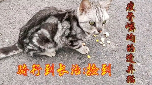 49582eb5ade7d684aba634d87a6f0bf25f80c75b.jpg@310w_174h_1c_100q.jpg