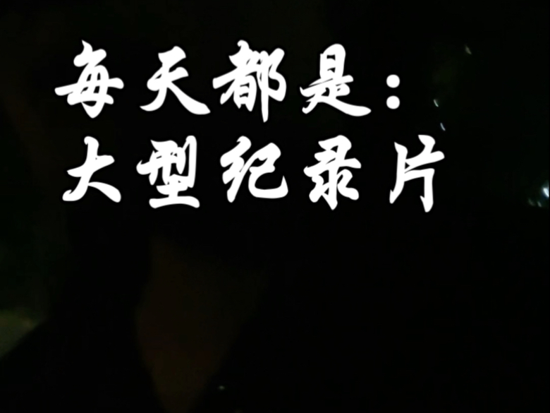 专业性分析v 你们爱听吗？！