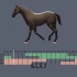 【动画参考】马运动规律