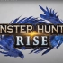 NS怪物猎人新作！怪物猎人：崛起（Monster Hunter R