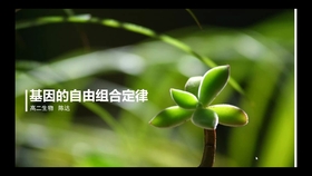 49a14bf6bb62a4b52b574d4d9ce563e257c093c7.jpg@280w_158h_1c_100q.jpg
