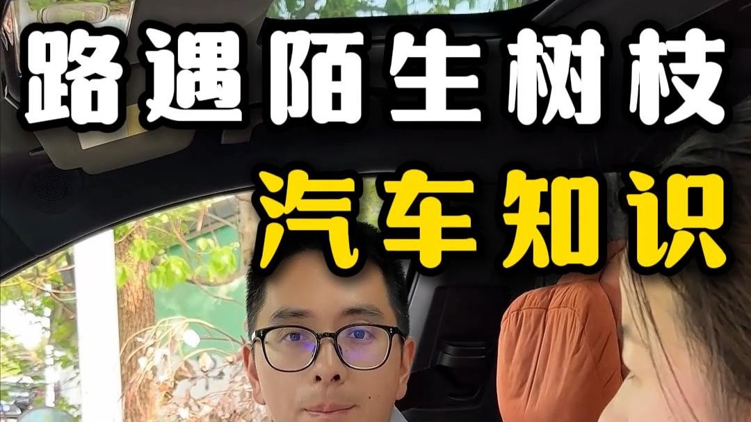 路上突然出现的拦路树枝要小心，避免吃大亏！