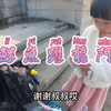 年三十这天 鲤鱼跃龙门啦【路亚