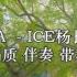 AYA (Live) - ICE杨长青 高品质 伴奏 带和声