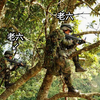 千万别过去 那片林子里有脏东西！