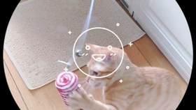 晚上几点睡觉不伤身体 4a0ad77b0bdd51167138f6c4ce50564bb04a9dc2.jpg@280w_158h_1c_100q.jpg