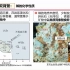 20220516-吴昌志教授-天河石花岗岩型铷矿床的成因
