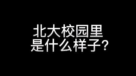 北大校园里是什么样子？