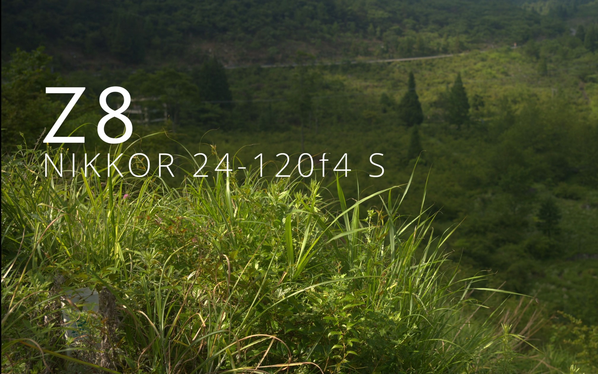 使用尼康Nraw记录下自然的色彩 黄水 千野草场 |尼康 Nikon Z8 | 24-120f4 S | 8.3k60 nraw 达芬奇调色 | 4k压制