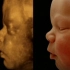 生命之旅-人体内部探险：从接吻到婴儿出生-纪录片-高清
