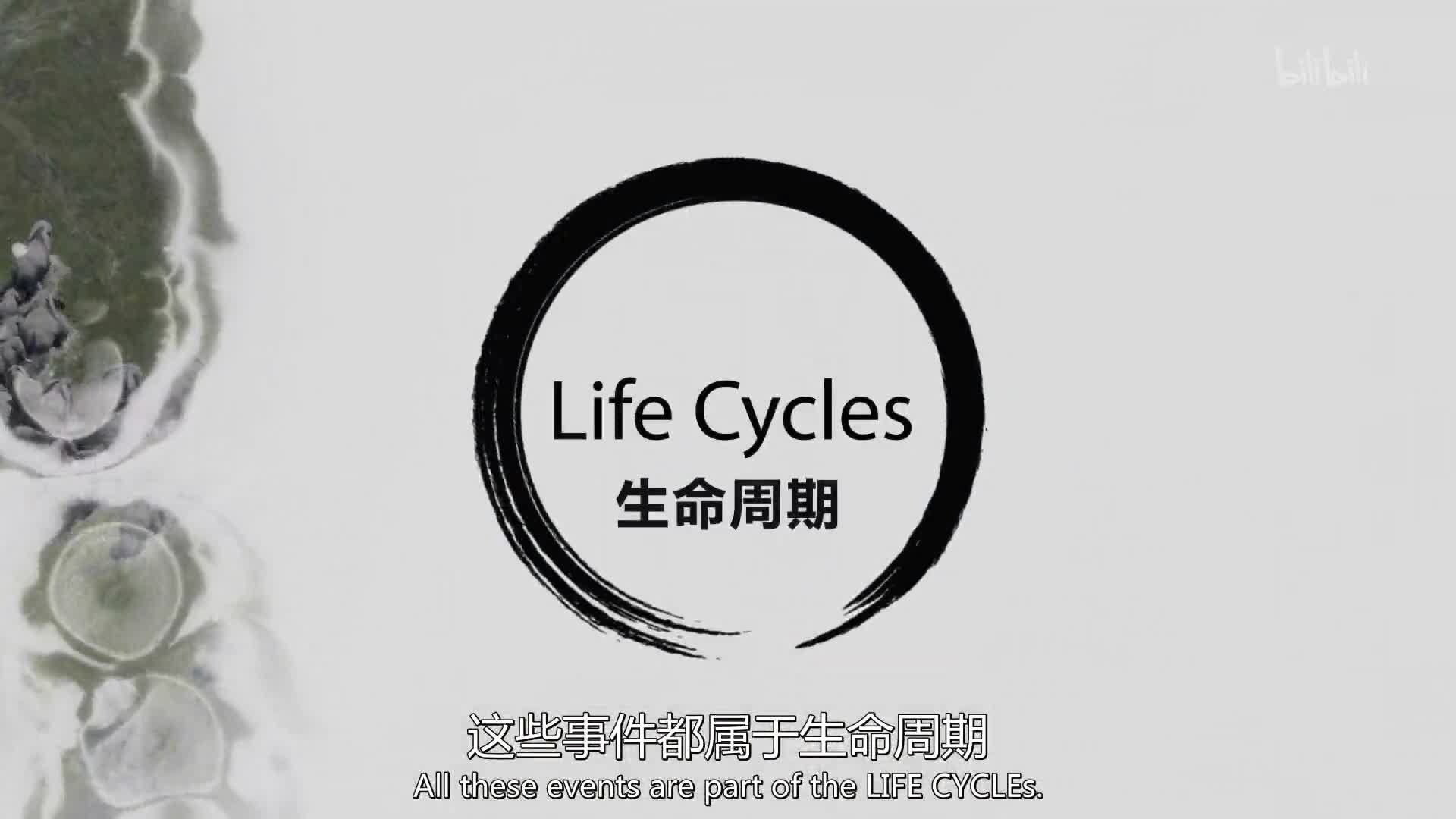 【纪录片】生命周期-THE LIFE CYCLES