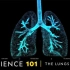 【英文科普】Lungs 人类的肺 | 国家地理 |中英字幕|纯英字幕|无字幕