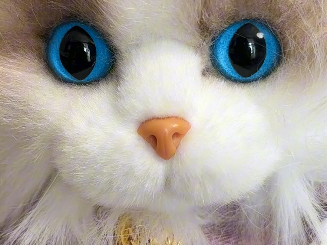 可爱布偶猫咪包，还有大尾巴！还可以装东西容量很大 ，可背可抱#chongker布偶猫背包 #玩偶#毛绒玩具 #猫猫背包