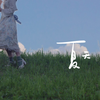 【Lolita】我只是偷偷共享了你的夏天