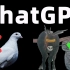 让ChatGPT帮我做视频，从此不再做鸽王！