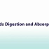 Lipids digestion and absorption 脂质消化和吸收