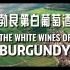 [中英字幕] 勃艮第白葡萄酒｜White Wines of Burgundy｜LCBO 2014