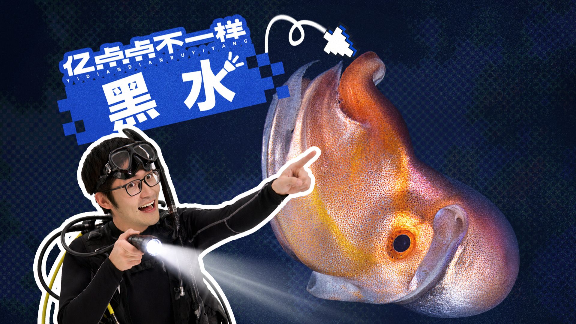 深夜潜入海底一周，我们拍到了从没见过的生物！
