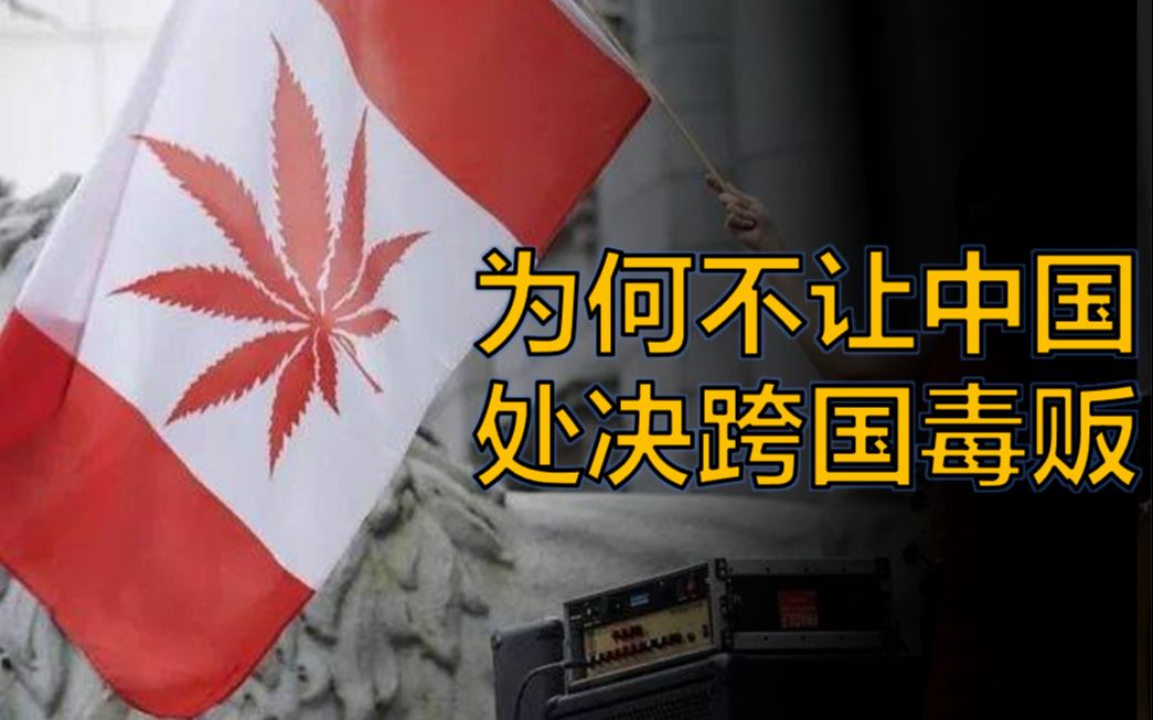 中国要处决加拿大毒贩，为何欧美集体炸锅高喊求情？