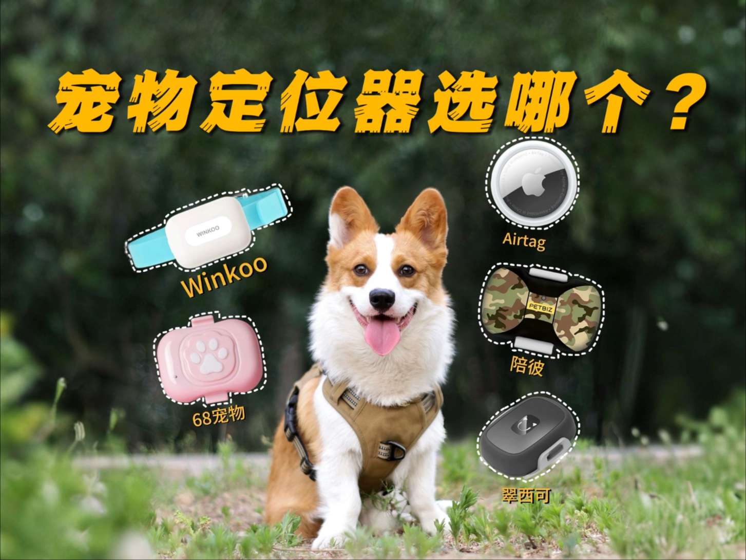 宠物防走丢！全网最真实定位器真实测评