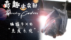 4ac807f0ebe551efef1d7386435acf9ef620cdb1.jpg@280w_158h_1c_100q.jpg