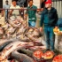 乌兹别克斯坦炸鱼烤鱼