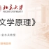【汉语言文学】《文学原理  金永兵(北京大学)》  YW-GJJJPK 国家级精品课-语文（14讲）