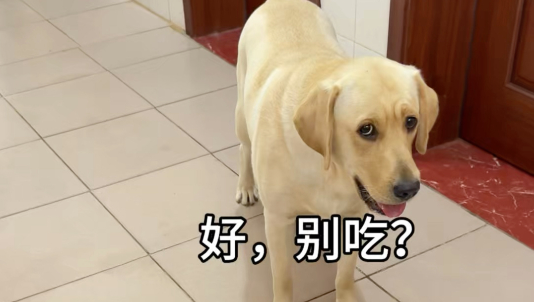 把“好，吃吧”改成“好，别吃”
