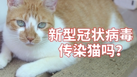 4b21fecf438e48758cd58dea17e310ded0248973.jpg@280w_158h_1c_100q.jpg