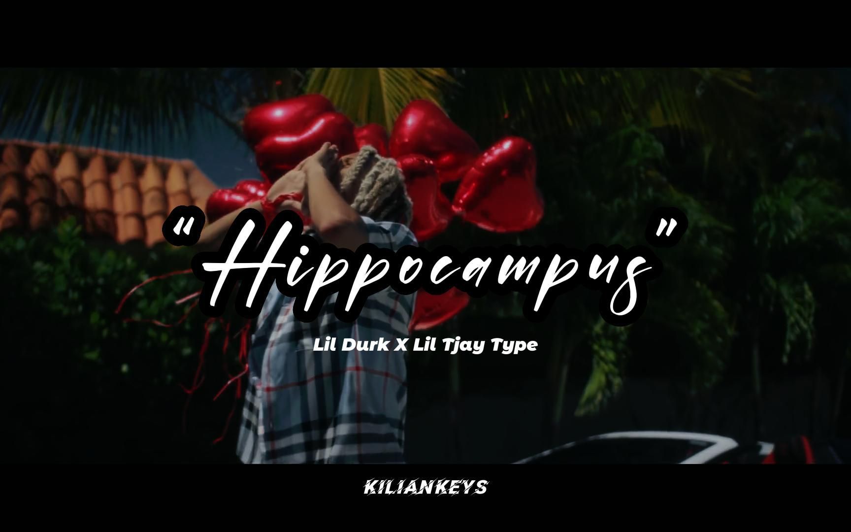 “免费”顶级旋律，顶级情绪化Beat |  Lil Tjay X Lil Durk Type Beat “Hippocampus“| 2022 Type