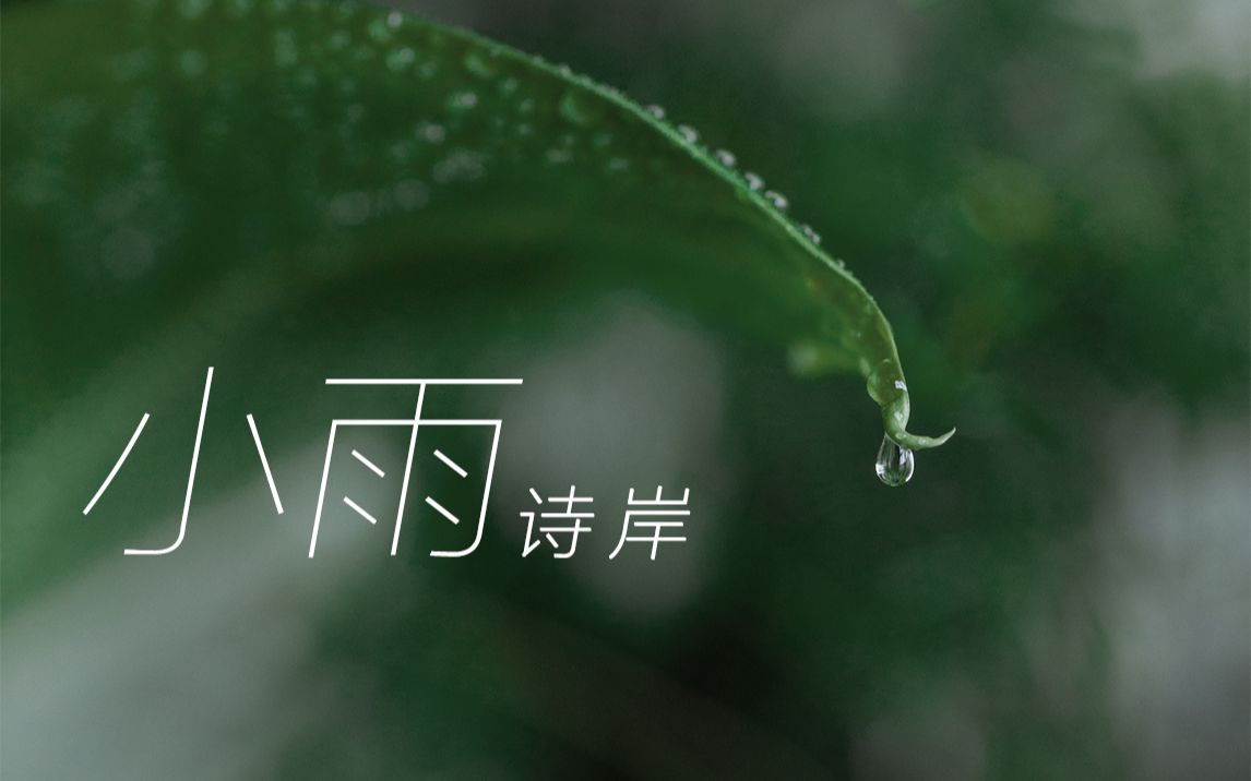 【诗岸】小雨【夏雨将至】