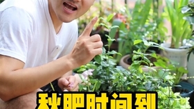 月季花施什么药 4b3af5fc1cdbce25cd045f576de2c7cc037d4e70.jpg@280w_158h_1c_100q.jpg