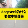 deepseek为什么要做本地部署