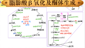 4b48d45f2479c6148f48c27ea1bf6382986d4d81.jpg@280w_158h_1c_100q.jpg