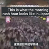 在东京挤地铁：感受一下扑面而来的“人味