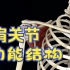 【运动解剖】：肩关节的解剖结构功能