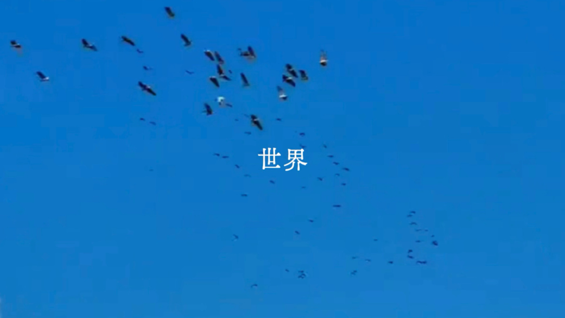 给我的高中生oc写了自由的青春疼痛曲