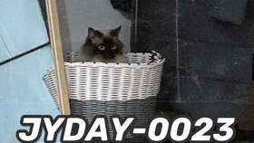 4bc29df8a8637a6306aedac9aa7f04e4f72b6cbc.jpg@280w_158h_1c_100q.jpg