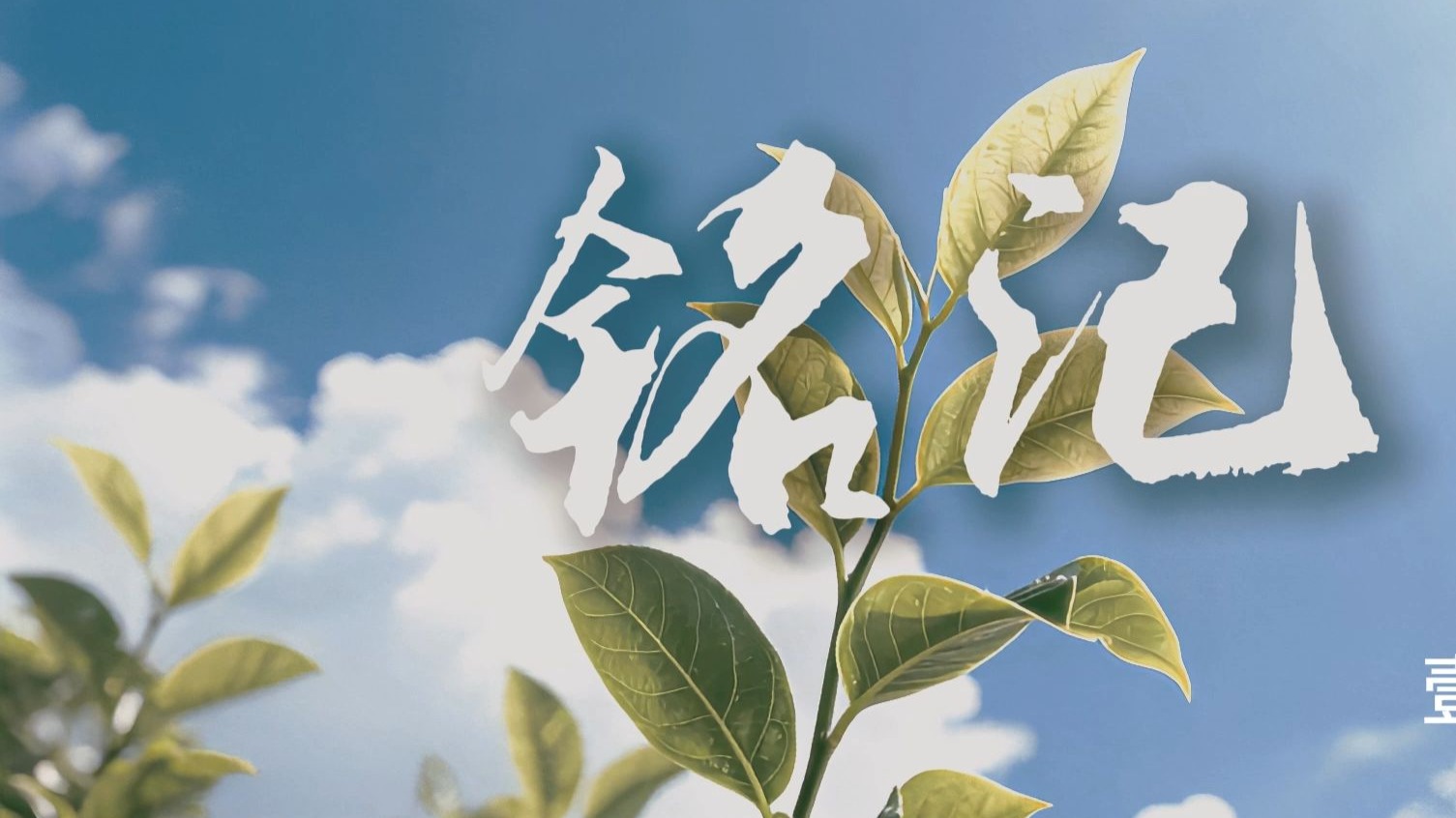 张杰《铭记》歌曲舞蹈背景led高清素材