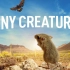 [英语中字][Netflix纪录片]微观世界 Tiny Creatures (2020)