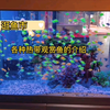 带大家逛鱼市 各种热带观赏鱼的介绍